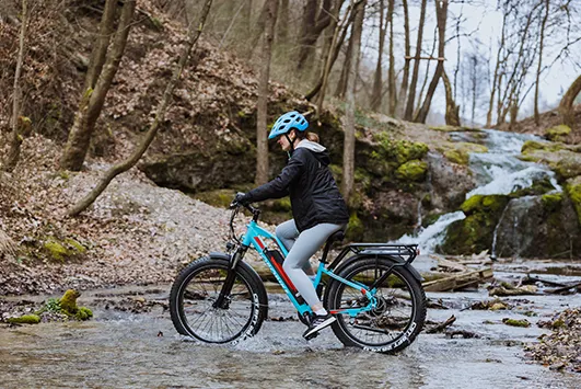 jobobike-all-terrain-electric-bike-robin