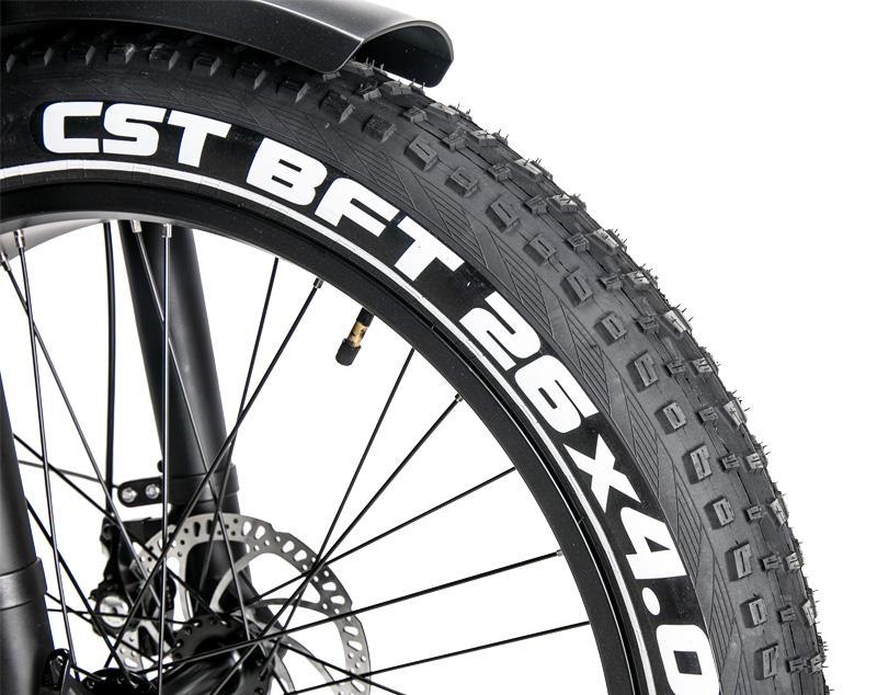 CST Fat Tire