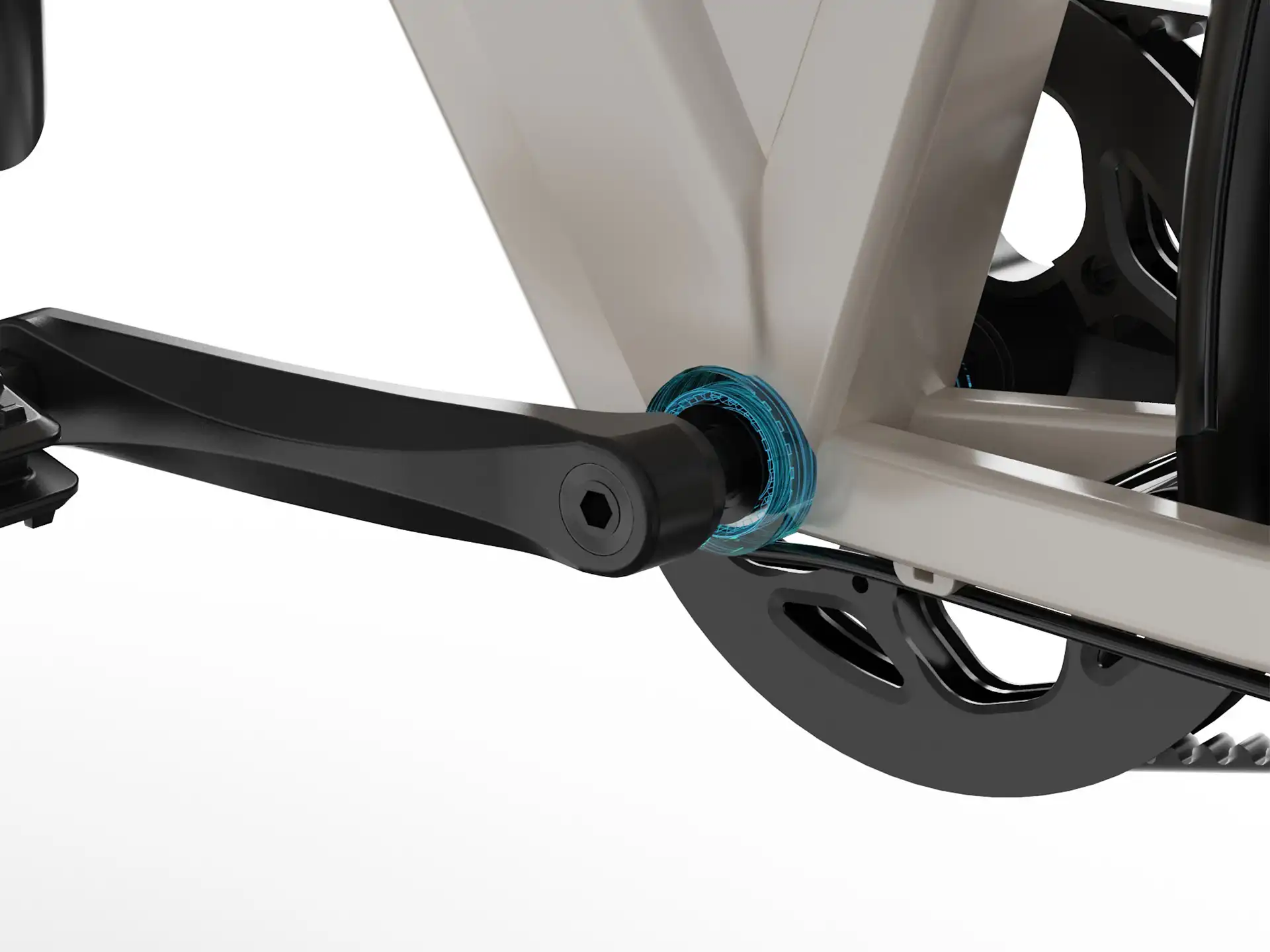 Torque sensor